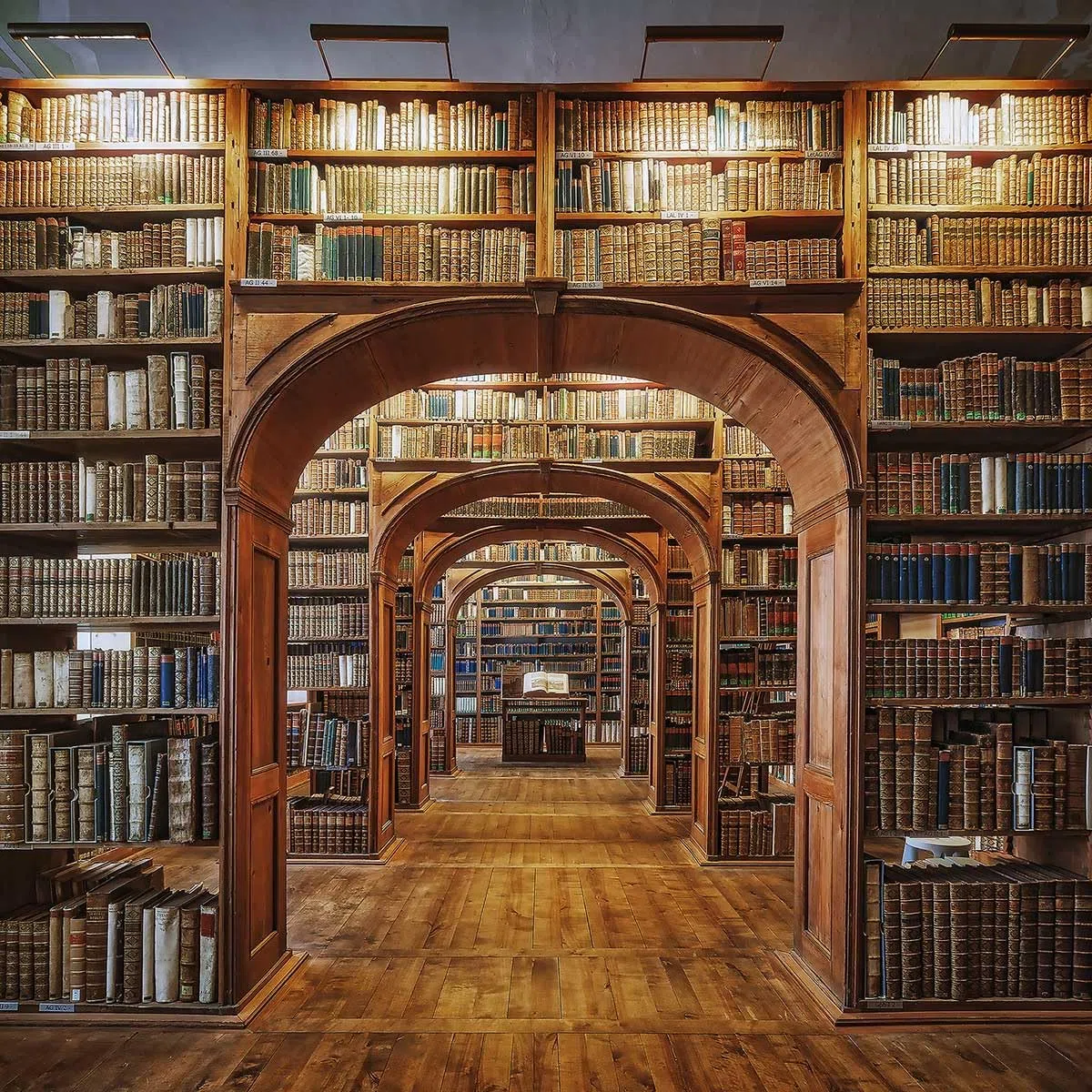 Cuadro Librería de Ciencias Alu - Made In France
