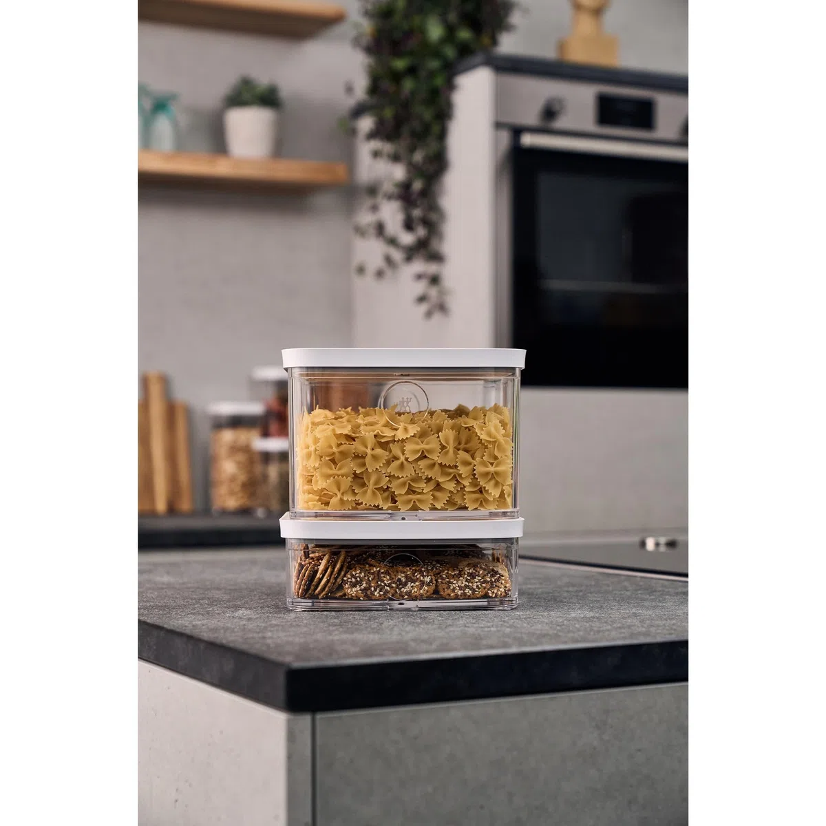 ZWILLING Fresh & Save - Caja de cubo de plástico, contenedor hermético de almacenamiento de alimentos secos, cubo grande alto, contenedor de 2 L, 4.2 cuartos de galón