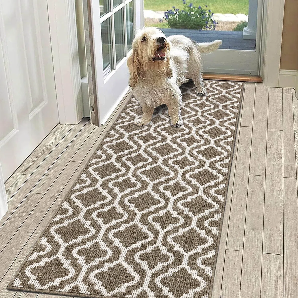 SHACOS Alfombra Pasillo Largo 60x180cm Alfombra Entrada Casa Interior Alfombra Cocina Lavable Antideslizante Absorbente Felpudo Pasillo Tapete Suave para Cocina, Pasillo, Entrada, Lavadero