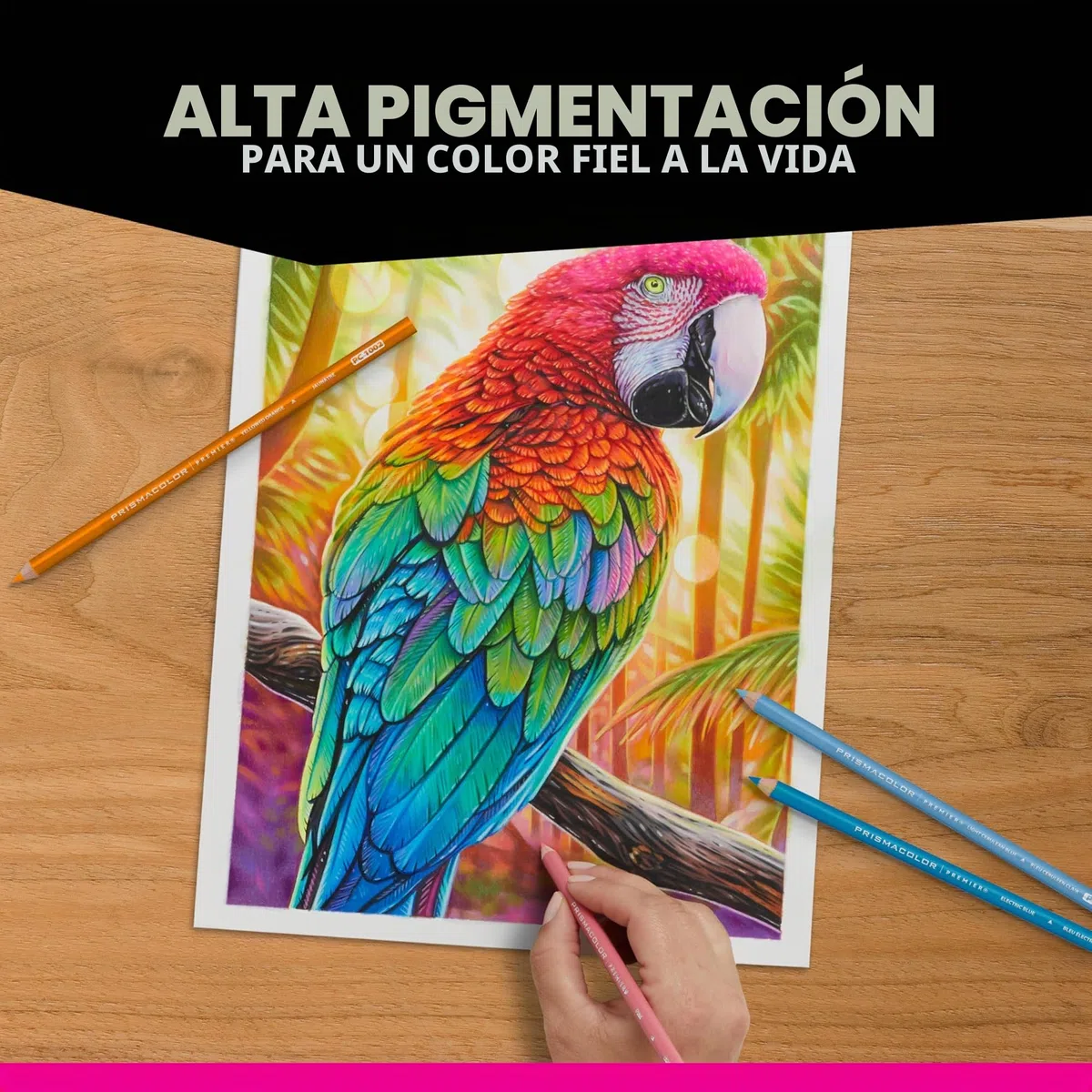 Prismacolor Juego de jardín botánico 12/PKG, talla única (paquete de 12)