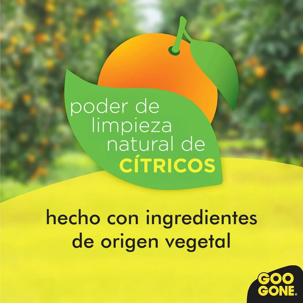 Goo Gone - Gel quitaadhesivos en aerosol - Pack de 2 y quitaadhesivos