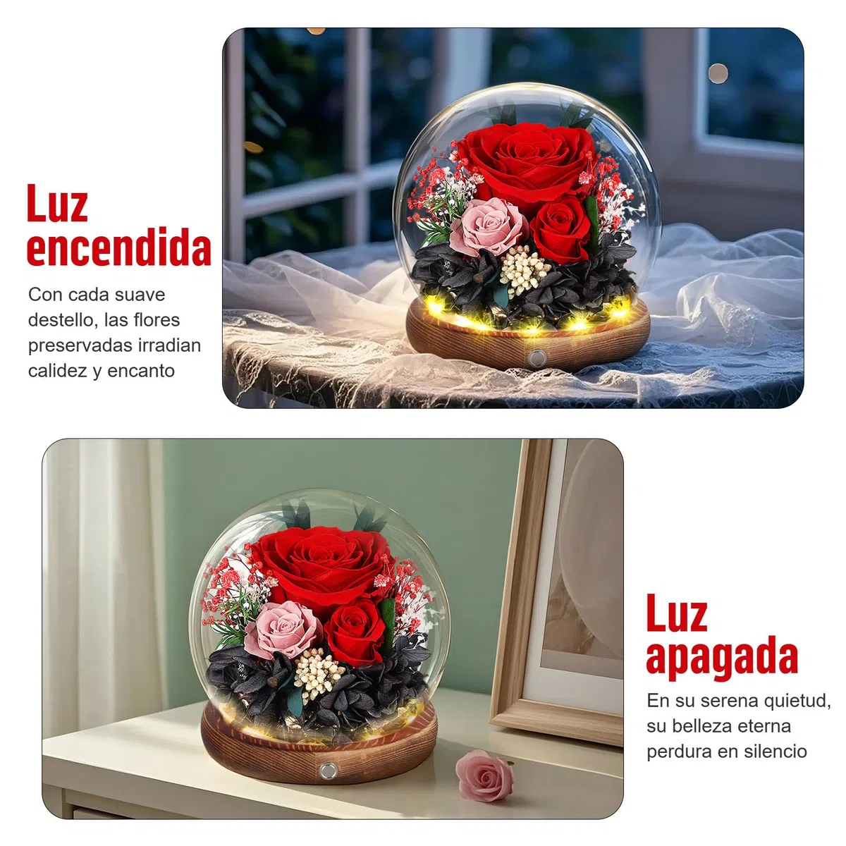 Rosa Eterna en Cúpula de Cristal con LED, Rosa Preservada por 5 Años, Flores Preservadas, Regalo para Mujer, Mamá, Novia o Esposa, Día de la Madre, San Valentín, Cumpleaños y Aniversario (Roja)