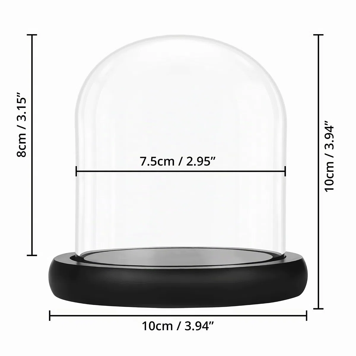 Belle TE 10 cm Campana de Cristal con Base Negra de Madera – Mini Campana de Cristal Transparente para Luces, Plantas, decoración de Mesa