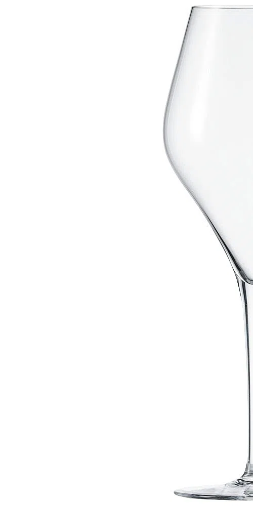 Schott Zwiesel 118608 Finesse - Juego de 6 copas de vino tinto (cristal, transparente, 9,8 x 9,8 x 26,1 cm), color burdeos