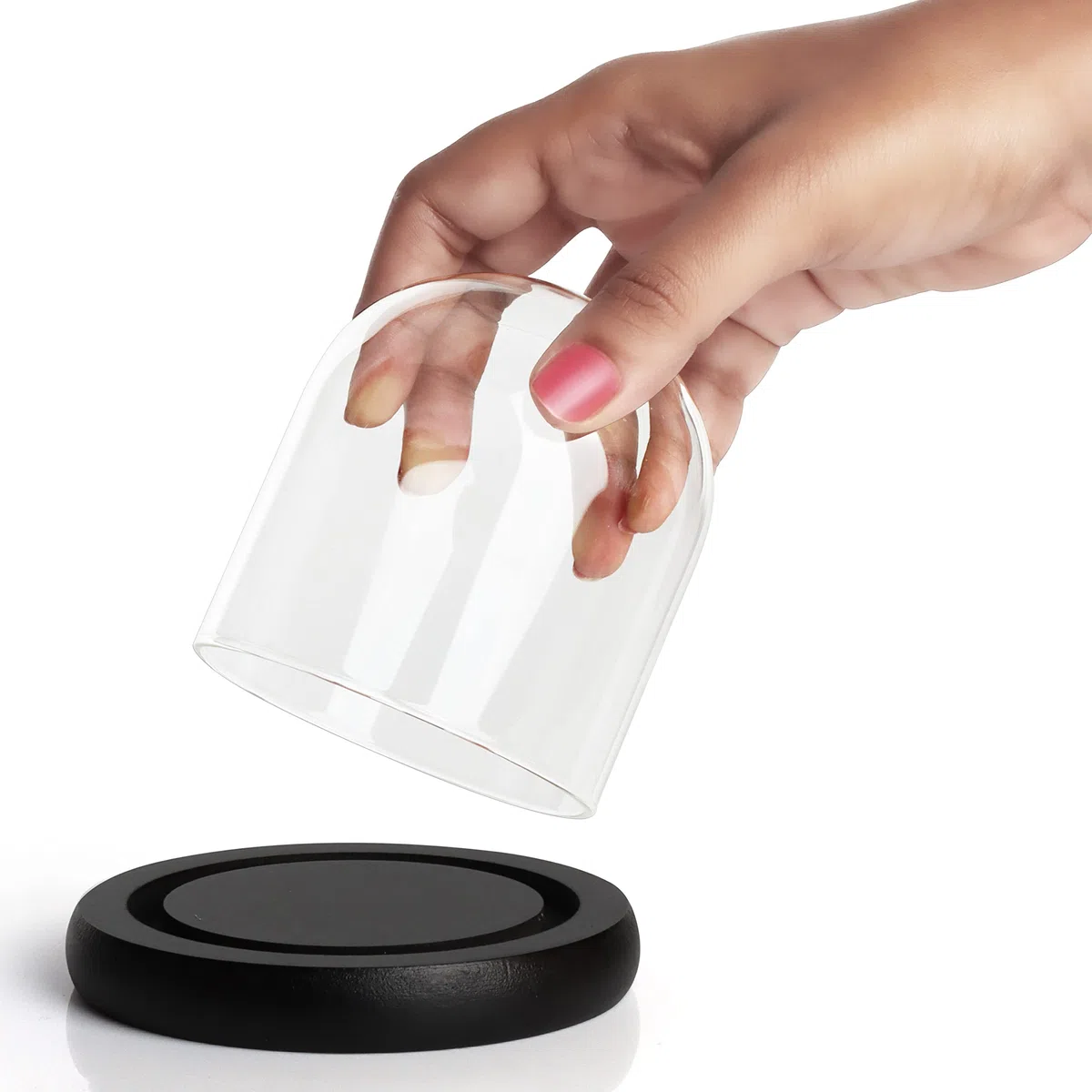 Belle TE 10 cm Campana de Cristal con Base Negra de Madera – Mini Campana de Cristal Transparente para Luces, Plantas, decoración de Mesa