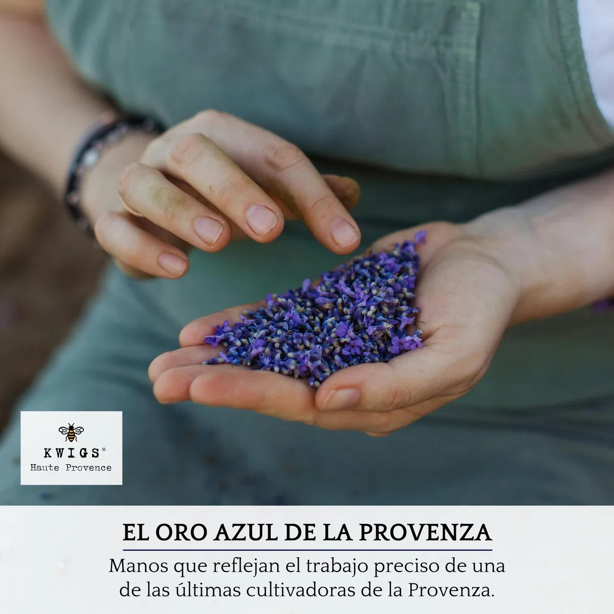 Bolsitas de Lavanda para Armarios - 12 Saquitos de Lavanda Seca Natural de Provenza sin OGM, en Yute Forrado y Rellenos a Mano - para Ropa, Cajones, Armarios - Flores de Provenza – Nueva Cosecha