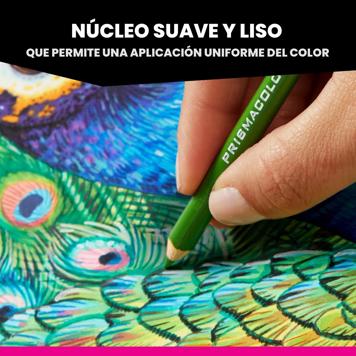 Prismacolor Juego de jardín botánico 12/PKG, talla única (paquete de 12)