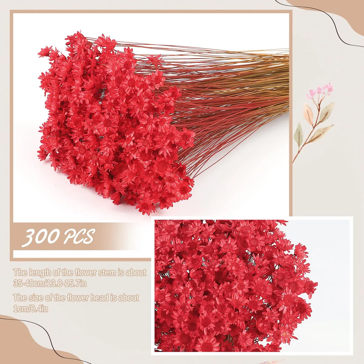 300 Piezas Flores Secas Brasileñas Flores Mini Flores Secas Naranja Flores Naturales de Gypsophila del Hogar Pequeña Estrella Decorativas (Rojo)