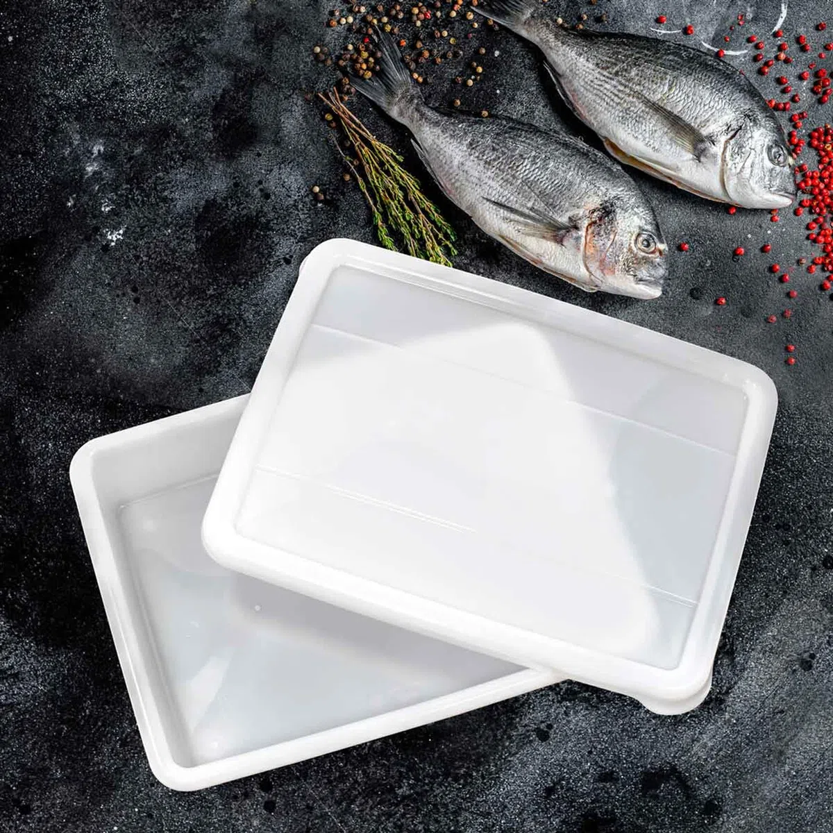 Tradineur - Pack de 6 bandejas frigoríficas de Almacenamiento con Tapa, N.º 5 - HG, plástico, Reutilizables, Guardar Alimentos, Fabricadas en España (Blanco - 8 litros - 43,6 x 32,6 x 8 cm)
