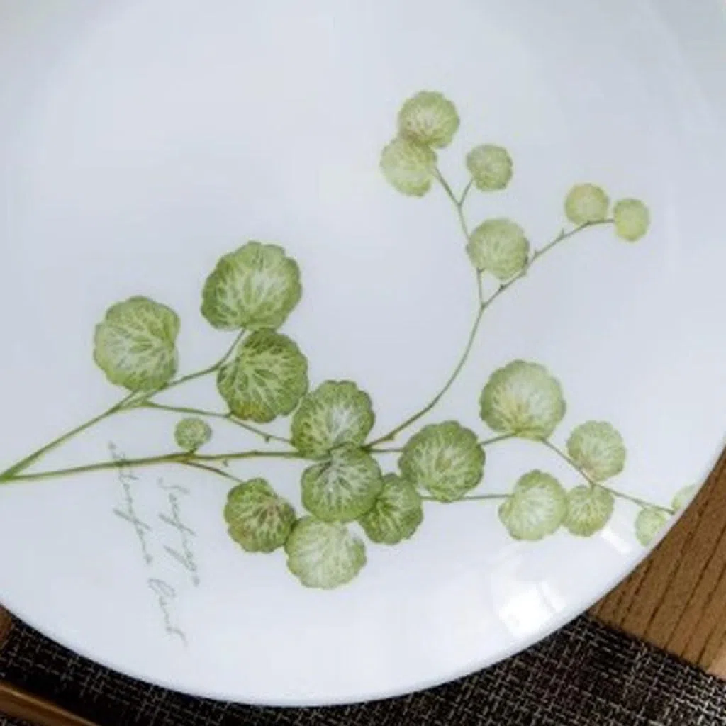 Platos para comer platear de cena con patrón de planta fresca, platear de cena occidental for el hogar, platear de carne, platear de cena, platear de fruta, vajilla Platos de cerámica para la cena