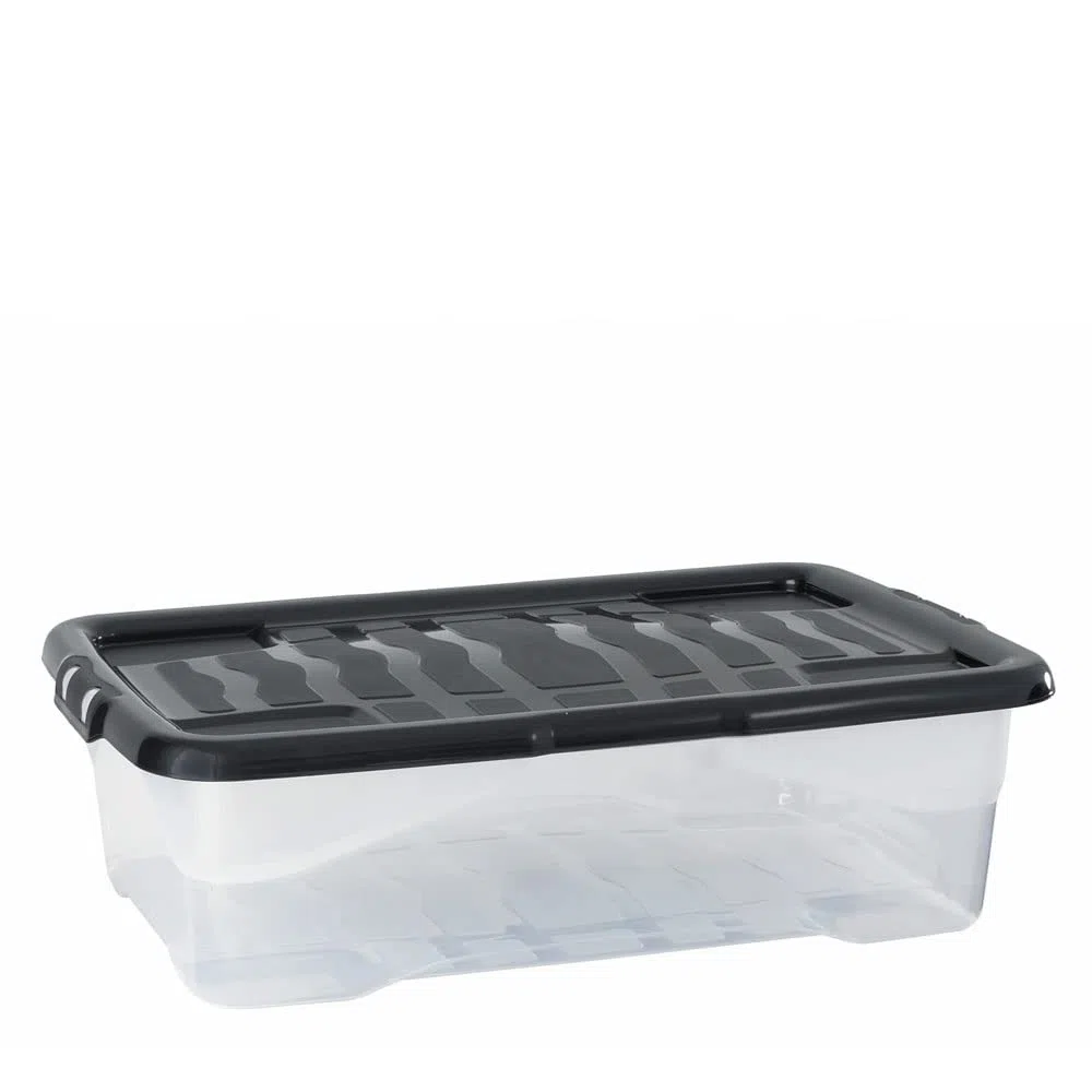 Strata Curve - Cajas Almacenaje Organizadoras para debajo de la cama (6 unidades, 42 L, 80 x 40 x 18 cm), color transparente
