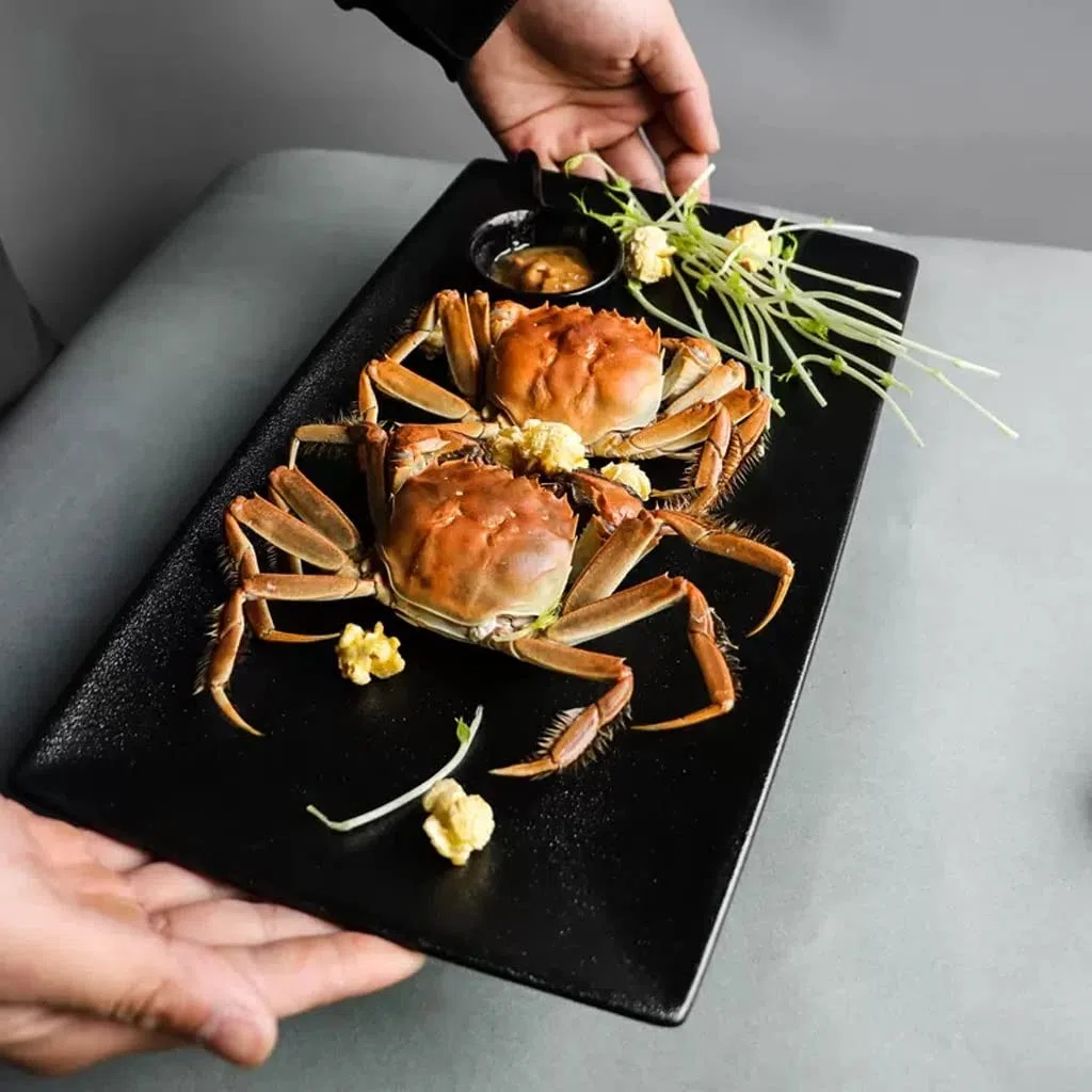 Ensaladera de cerámica nórdica para el hogar, rectangular, plato de pescado al vapor, plato creativo, plato de porcelana, plato pequeño de postre para restaurante, cuenco para frut(A2 piezas S)
