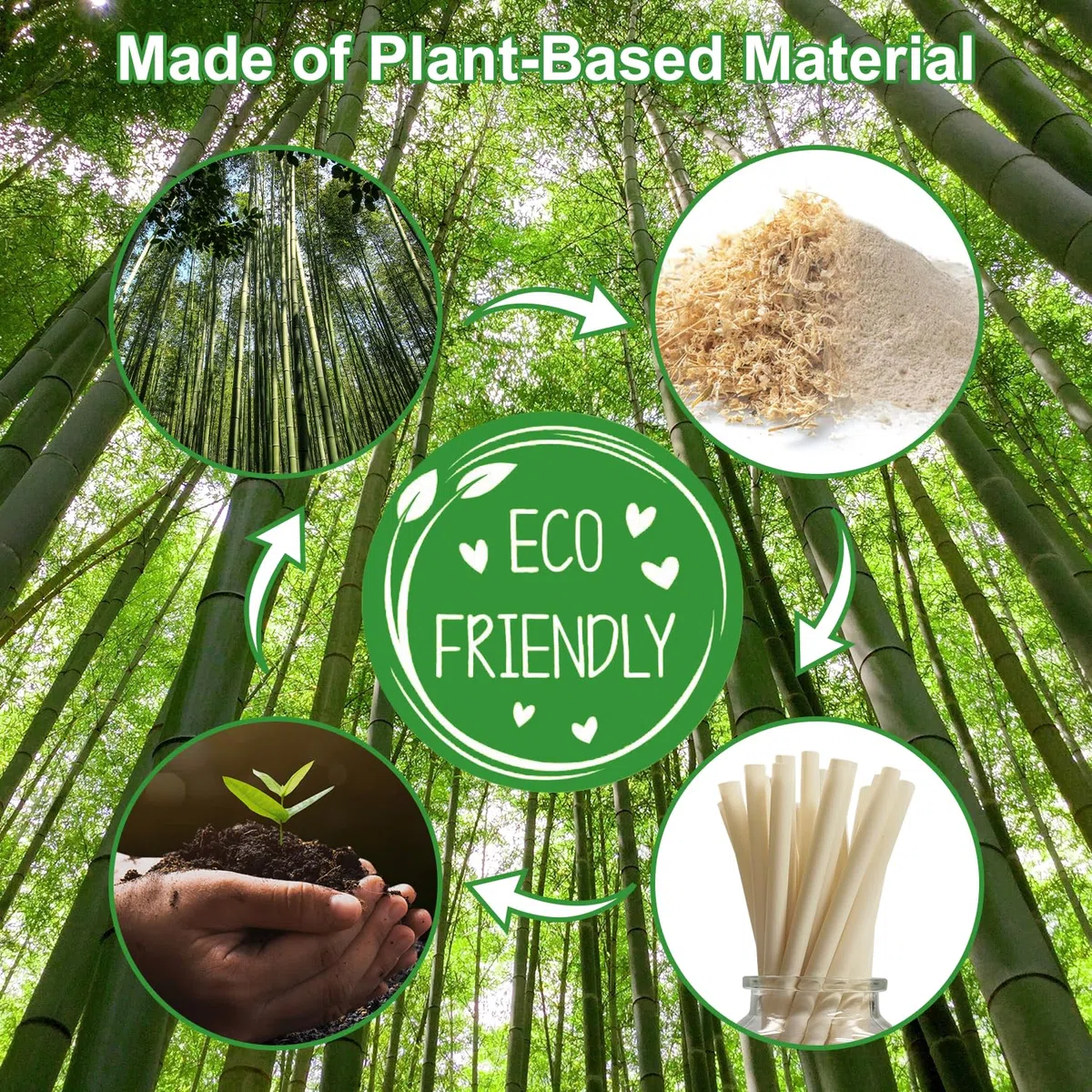 12 mm de Extra Ancha Pajitas de Fibra de Bambú, 200 Biodegradables Bambú Pajitas de Bubble Tea | Pajitas Desechables con Gran Apertura | Para té Boba, Jumbo, Batidos de Leche y Batidos