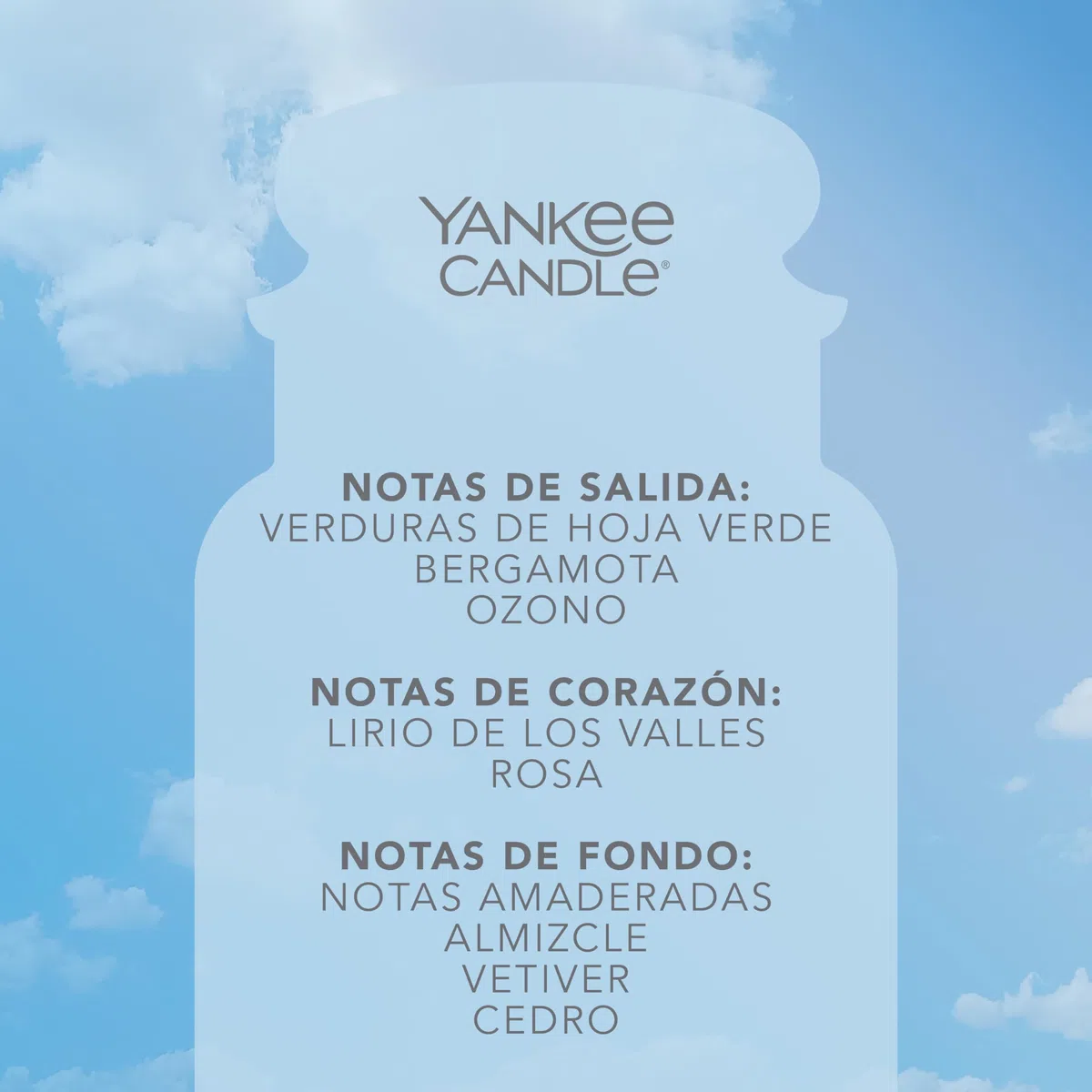 Yankee Candle Vela aromática en tarro grande de Clean Cotton | Velas de larga duración: hasta 150 h | Regalos perfectos para mujeres
