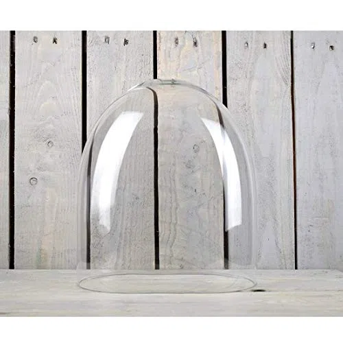 EMH - Campana de cristal ovalado (30 cm)
