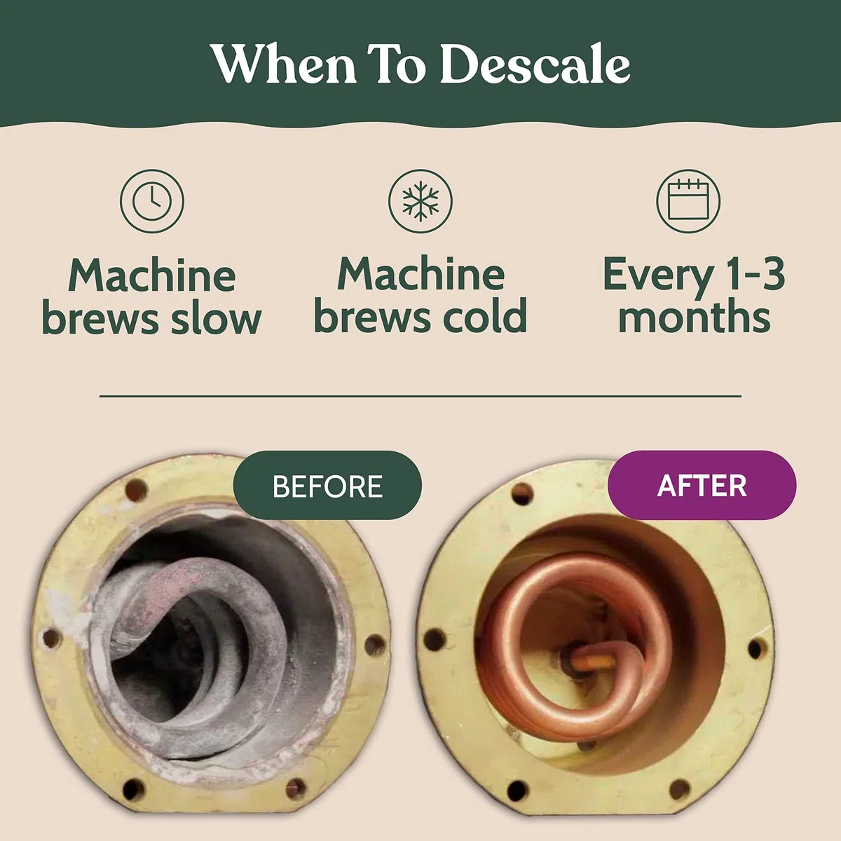 Solución descalcificadora compatible Breville. Especialmente formulada para limpiar y descalcificar tu máquina de café espresso Breville. 2 usos por botella, paquete de 2. Kit de descalcificador