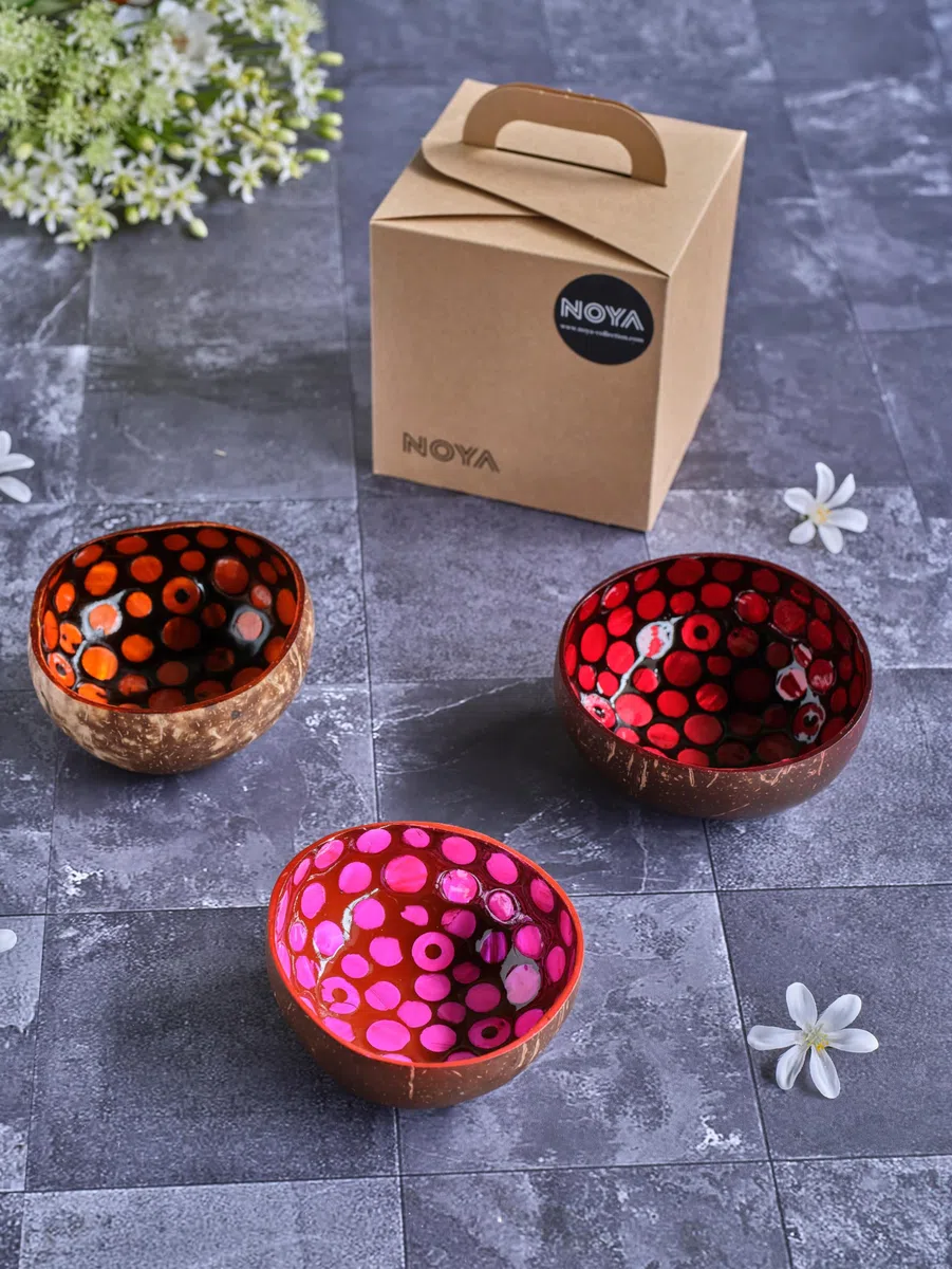 Noya Juego de 3 cuencos de coco de colores surtidos, D14 Cm
