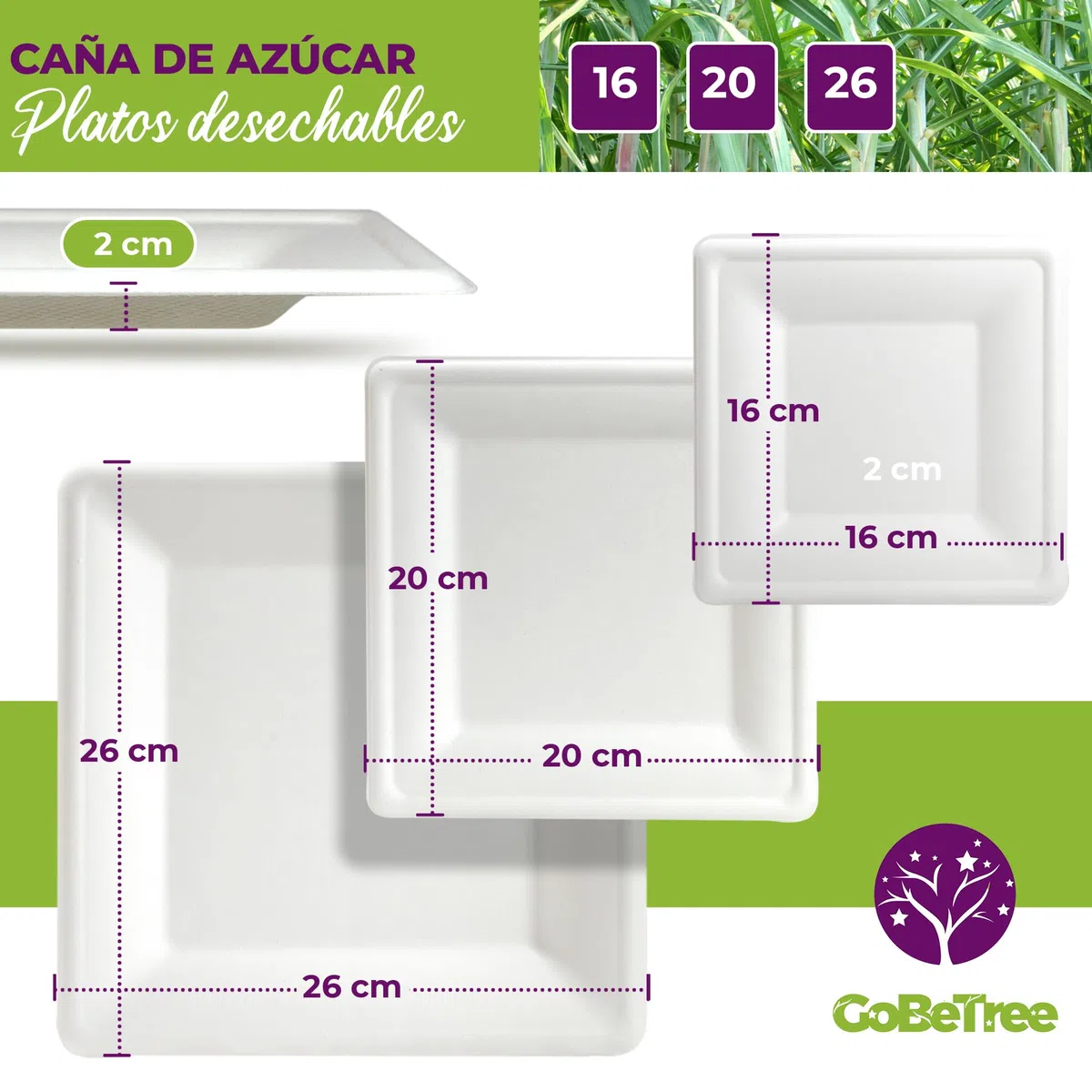 GoBeTree 100 platos de caña de azúcar cuadrados de 20 cm blancos. Platos desechables extrafuertes, Para camping, picnic, fiestas, barbacoas, cumpleaños.