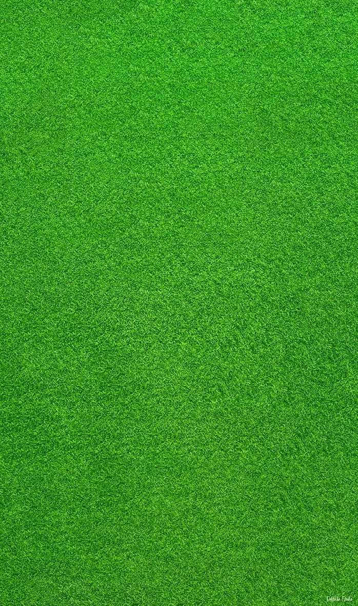 DobleUve Estudio Alfombra Vinílica Estampado Césped | Verde | 47x80 cm | Alfombra Cocina Lavable Antideslizante | Alfombra Vinilica | Suelo Vinílico | Alfombra Vinilo Salón