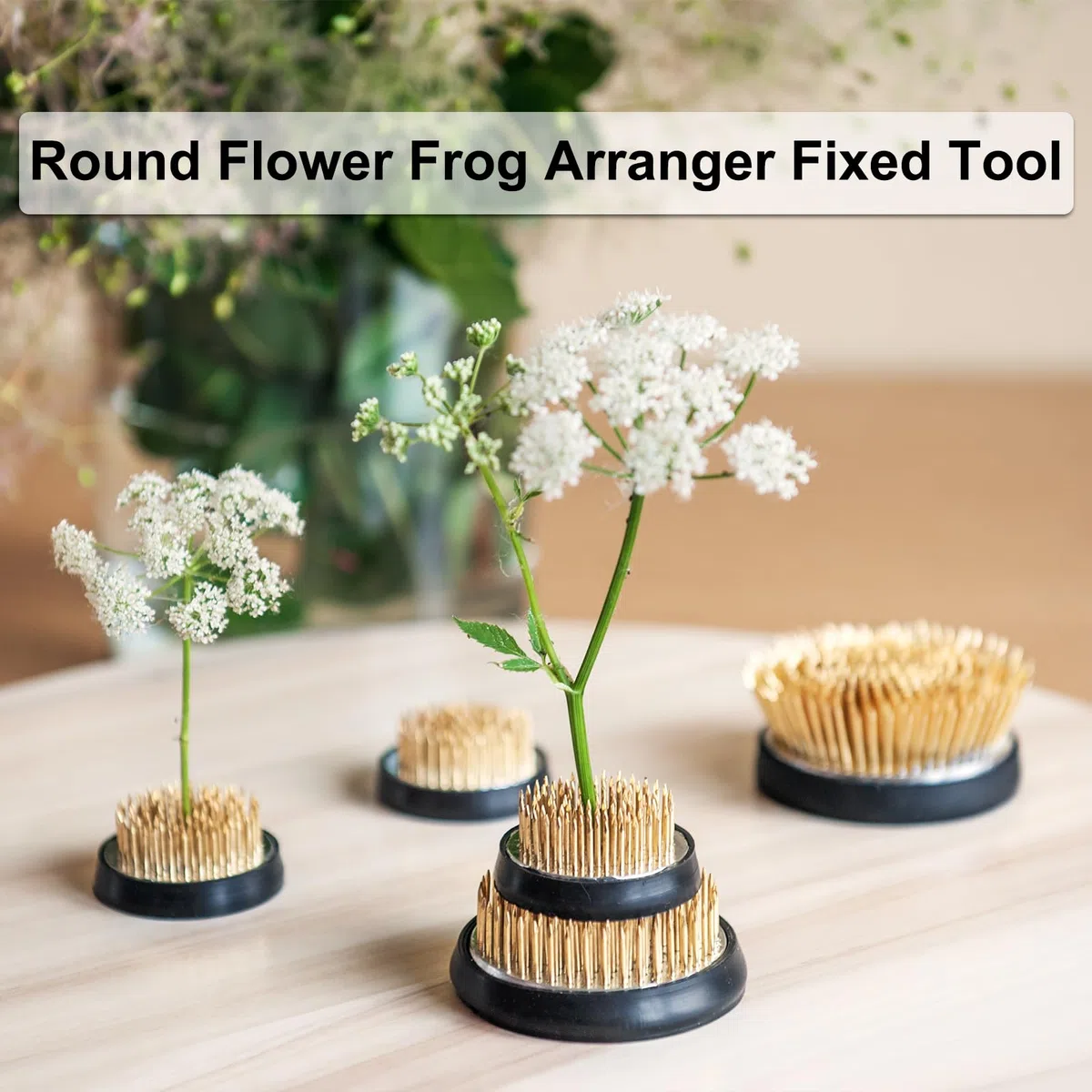 QUARKZMAN 12uds Flor Rana, Redondo Inoxidable Acero Floral Ranas, Flor Arreglo Fija Herramienta Pasador Rana para Flor Arreglo Jarrón, Fijación y Decoración (Plata, 0.9 Pulgadas)