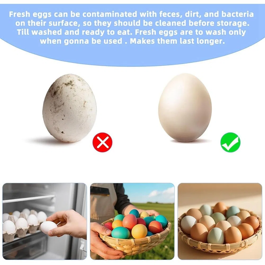 Cepillo Eléctrico para Huevos - Limpiador de Huevos Frescos y Cepillo para Verduras con Indicador de de Batería y 2 Velocidades