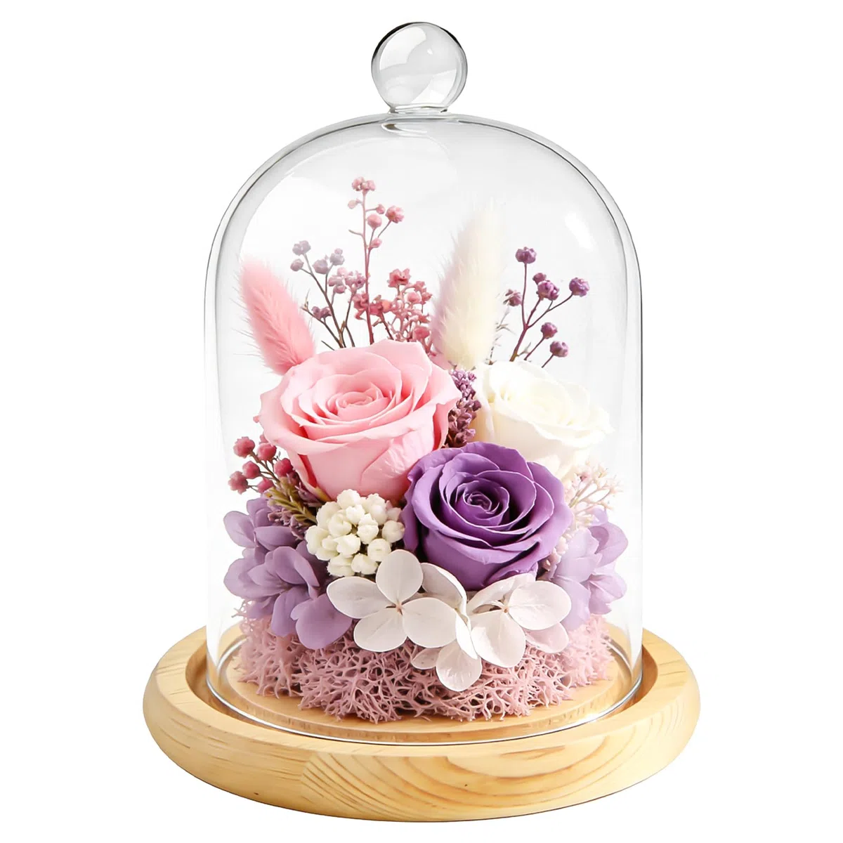 Campana de cristal decorativa con asa, cúpula de cristal transparente de 12 * 18 cm, base de madera amarilla, para guirnaldas luminosas, decoración de mesa y antigüedades, plantas