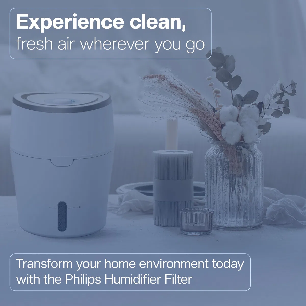 2 filtros para humidificador Philips [HU4814, HU4813, HU4811, HU4803 & HU4801] – Sustituye FY2401 – Humidificación higiénica, 99 % menos bacterias