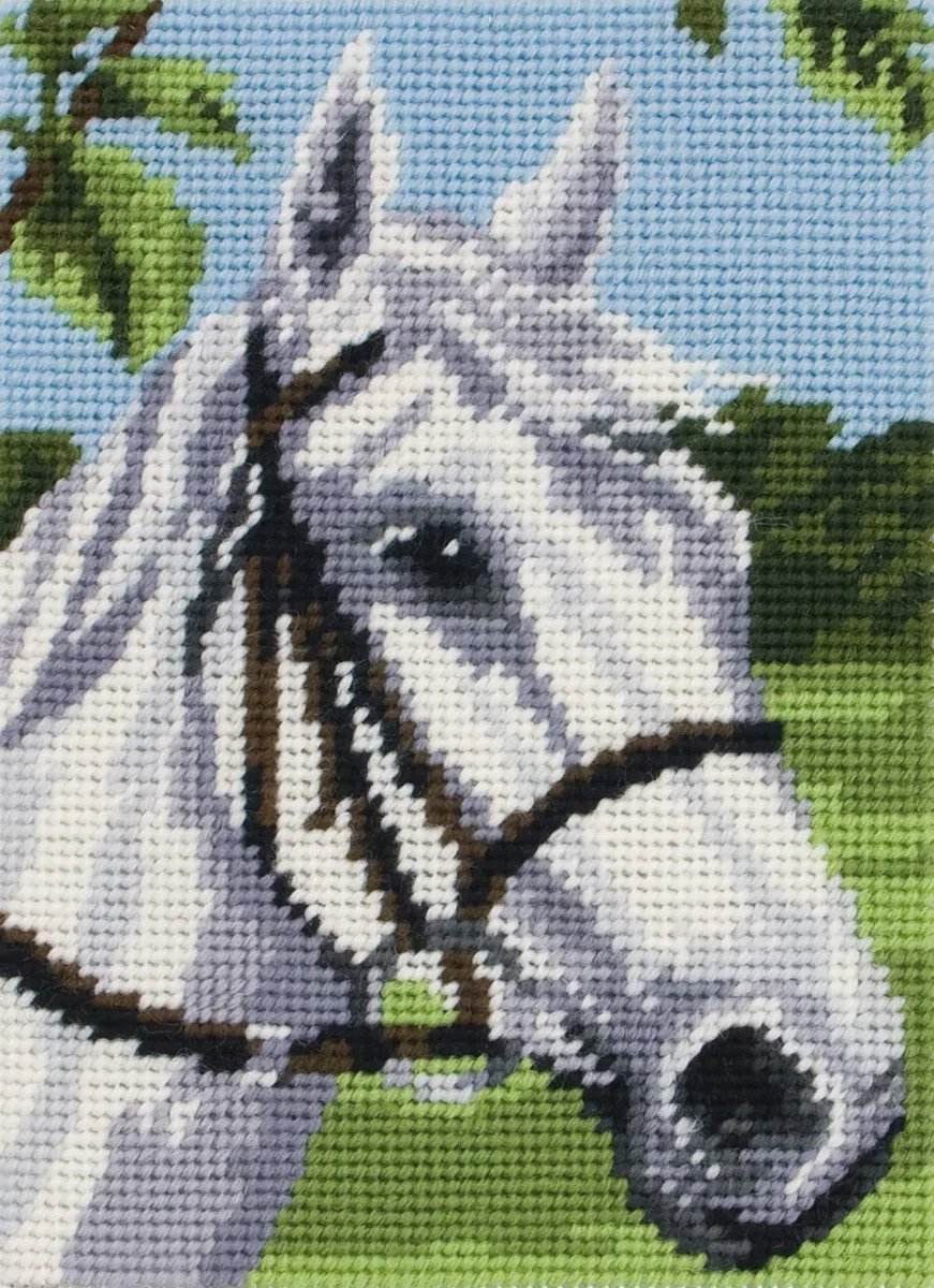 ANCHOR Stitch Kit de Tapiz: Principiante, Lona, Lana, Caballo Blanco, 14 x 18cm