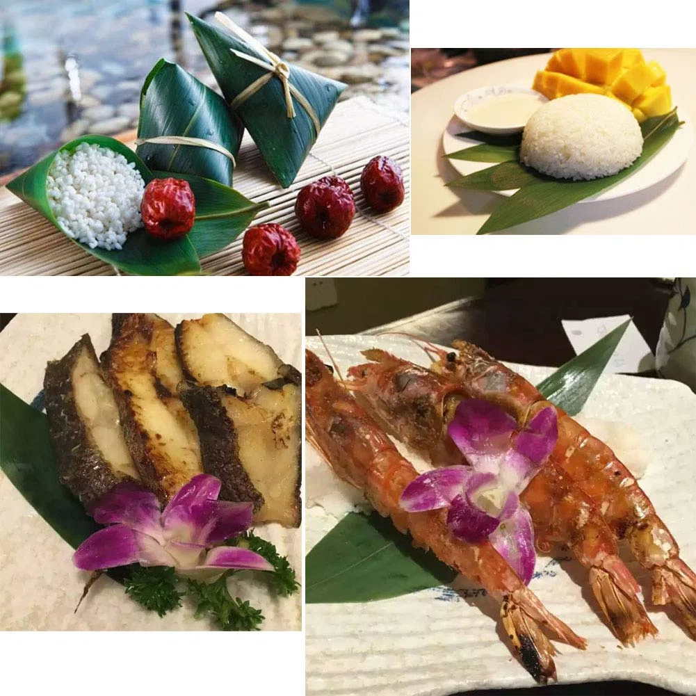 100 hojas frescas pequeñas de bambú envasadas al vacío, hojas de bambú salvaje natural para cocina japonesa, sushi, carne, vajilla, materiales de decoración - S
