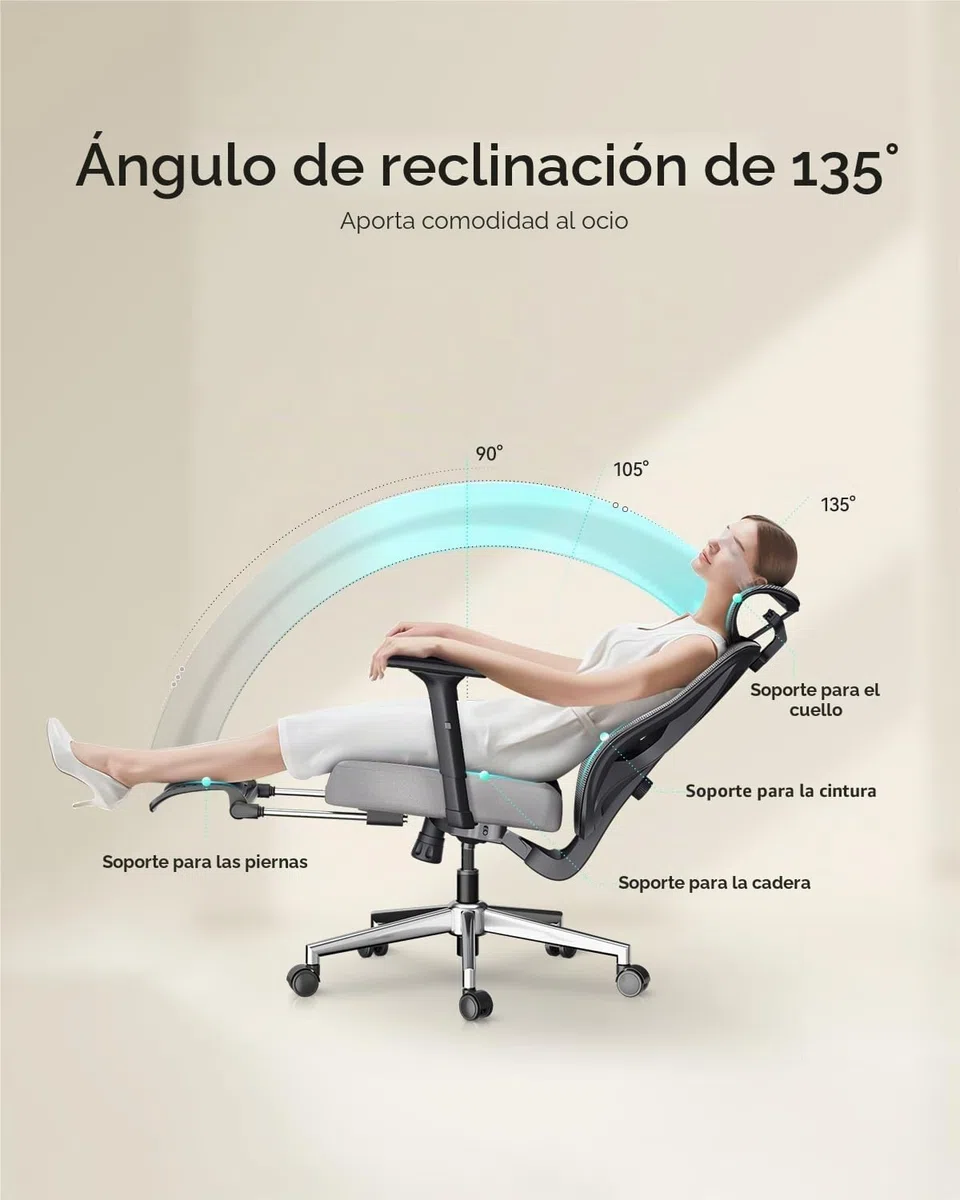 Hbada P5 Silla de Oficina ergonómica con Soporte Lumbar Ajustable, cojín elástico Transpirable, reposabrazos Ajustables y reposacabezas, Reposapiés Integrado, Negro (Aluminium, Blanco)
