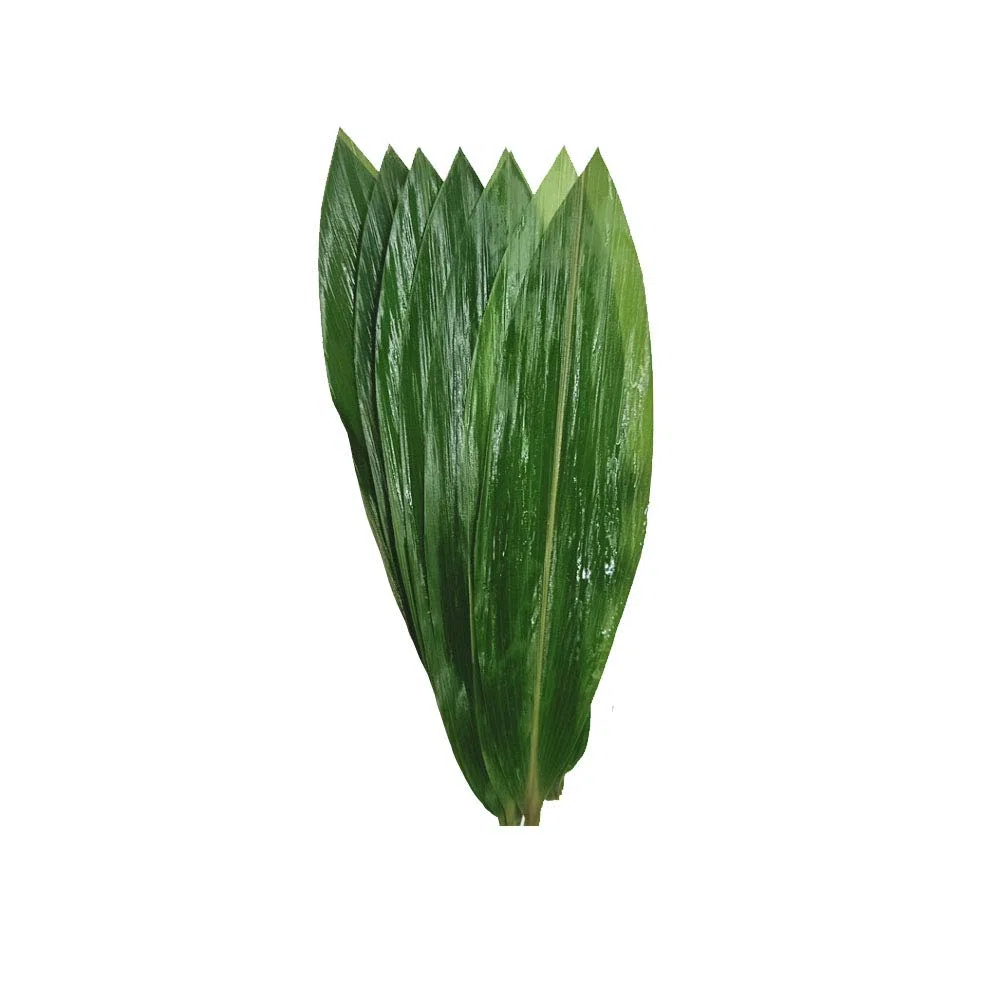 100 hojas frescas pequeñas de bambú envasadas al vacío, hojas de bambú salvaje natural para cocina japonesa, sushi, carne, vajilla, materiales de decoración - S