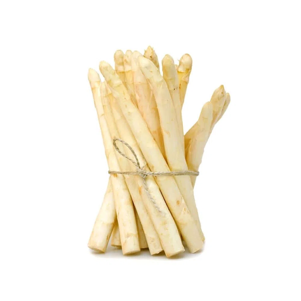 VIER - OLLA ALTA PARA ESPARRAGOS Y ESPAGUETTIS, CON TAPA DE VIDRIO, 16CM DIAMETRO. Apta para Pasta, Espaguetis, Verduras. Válido para toda clase de cocinas incluidas las de inducción.