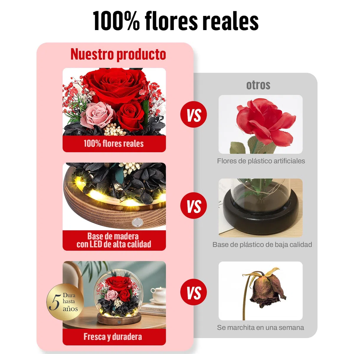 Rosa Eterna en Cúpula de Cristal con LED, Rosa Preservada por 5 Años, Flores Preservadas, Regalo para Mujer, Mamá, Novia o Esposa, Día de la Madre, San Valentín, Cumpleaños y Aniversario (Roja)