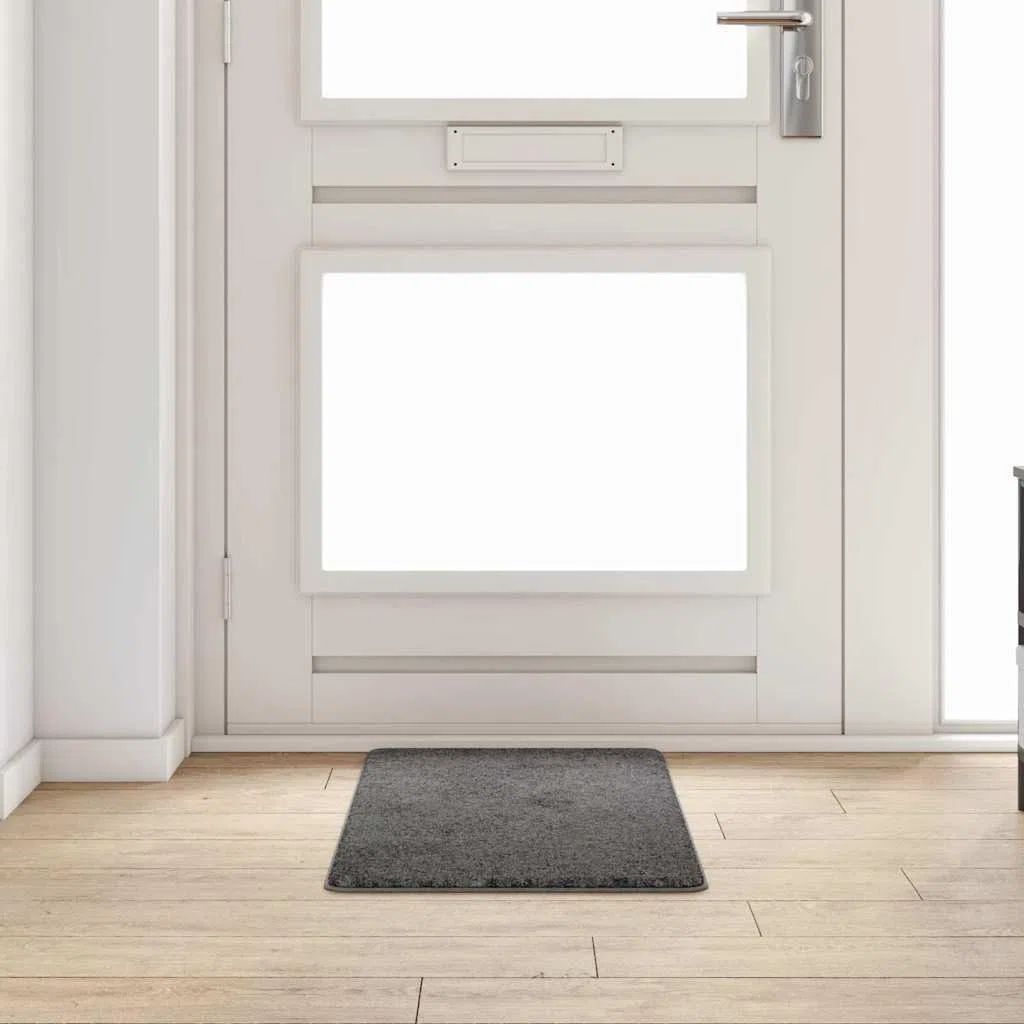 Alfombra de pasillo gris, 50 x 100 cm, 100% polipropileno, antideslizante, fácil de limpiar, para pasillo, salón, dormitorio, con superficie suave y decoración moderna y versátil