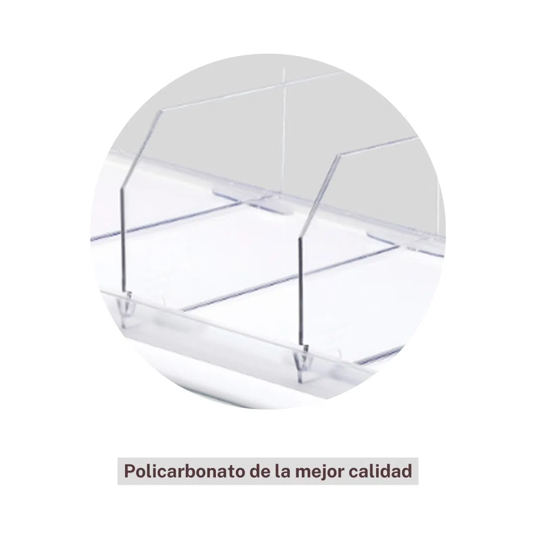 FLETA Separadores de Policarbonato para Vitrinas, Transparente, 12cm Alto, Pack de 6, con Perfil de Fijación, 35/45/55cm Largo, para Organización de Mostradores Comerciales (Pequeño 35 cm)