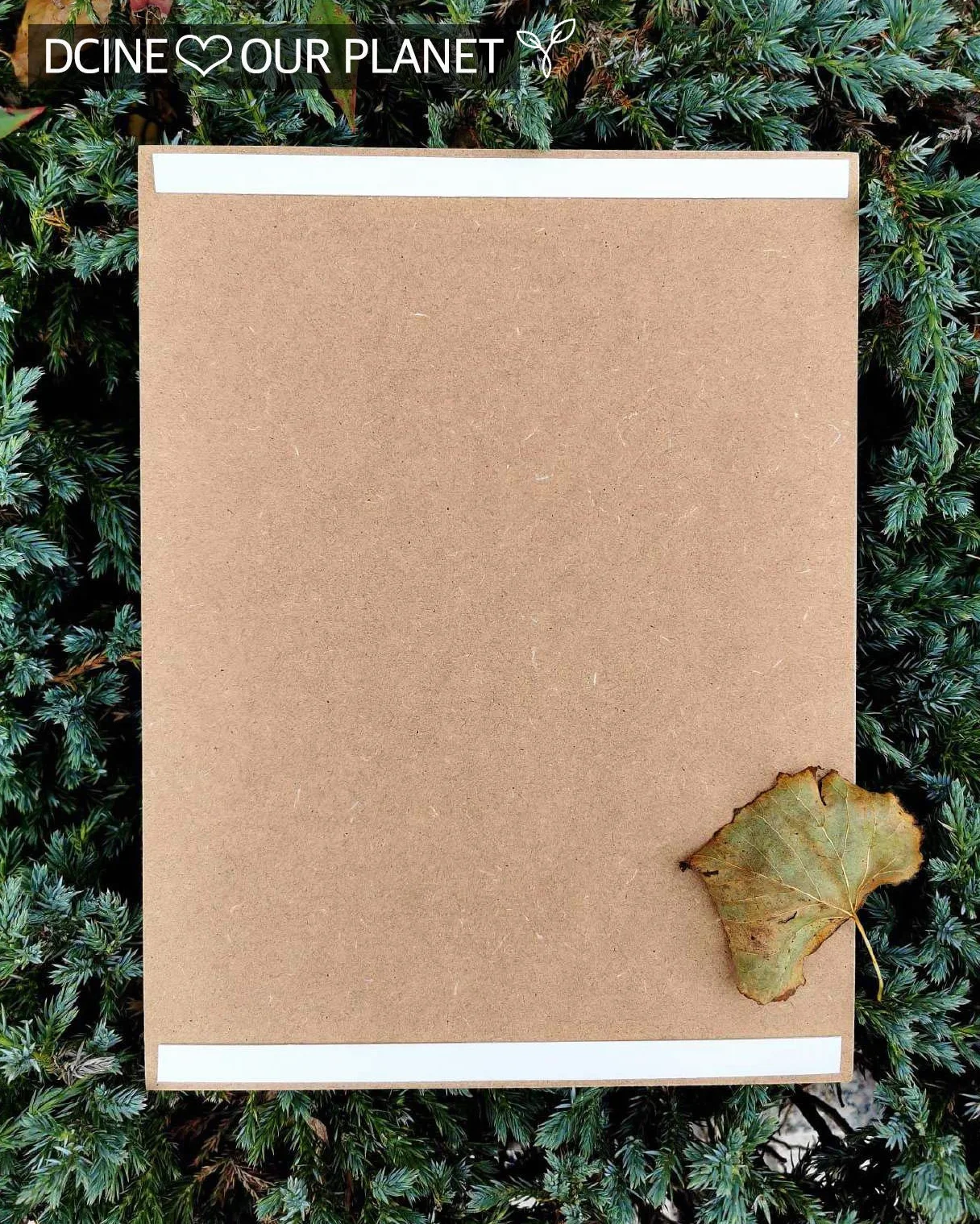 Cuadro Decorativo/Frases positivas/sobre Madera/Regalo/Normas del hogar 19 cm x 25 cm x 4 mm/Madera (Nuestra Receta)