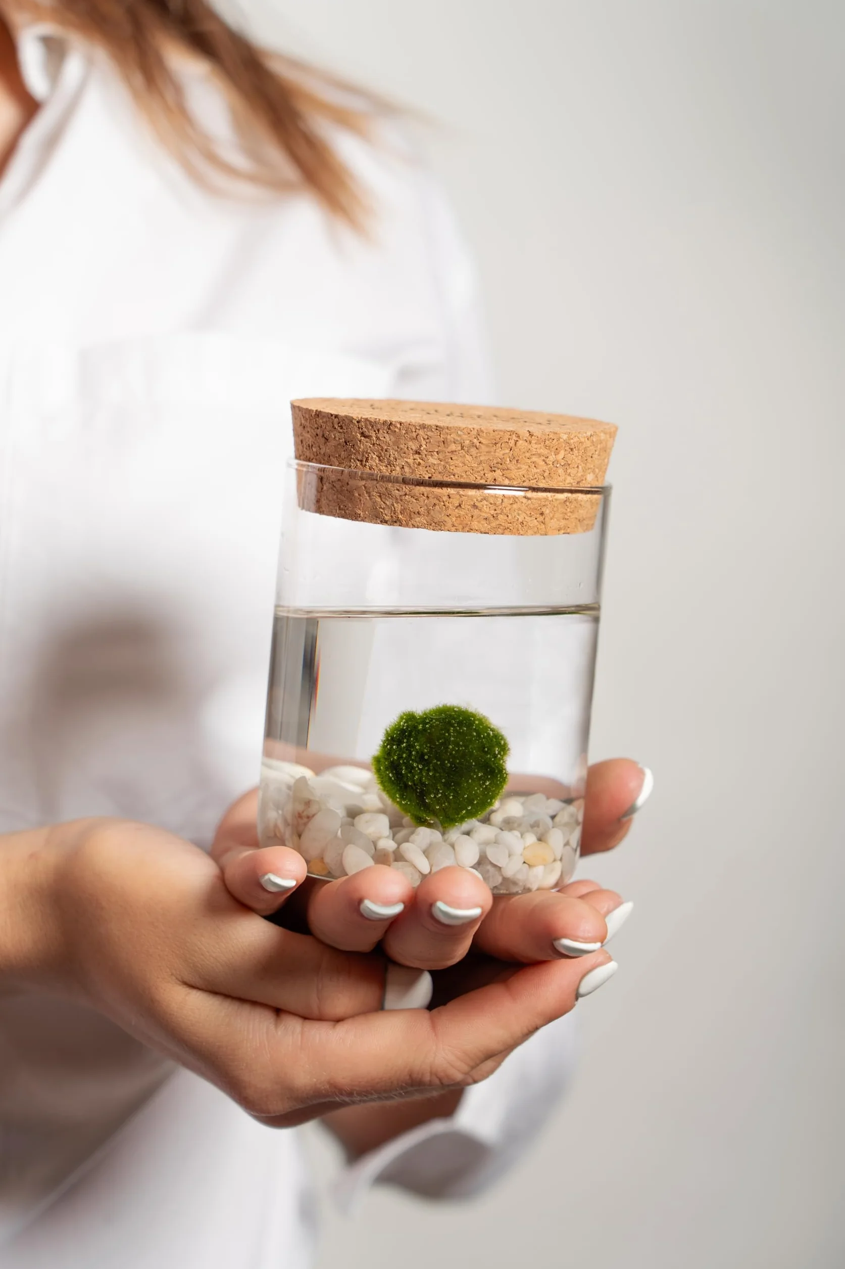 La felicidad está en las pequeñas cosas. Marimo original individual en jarrón de cristal con tapón de corcho y ideograma, de fabricación artesanal, fondo rosa natural, fabricado en Italia