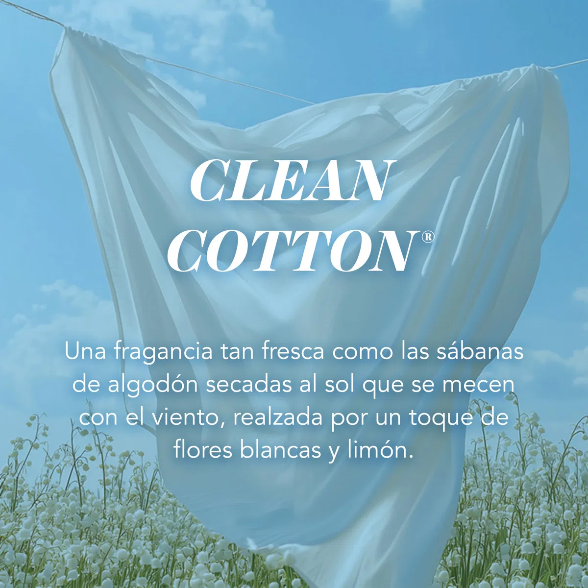Yankee Candle Vela aromática en tarro grande de Clean Cotton | Velas de larga duración: hasta 150 h | Regalos perfectos para mujeres