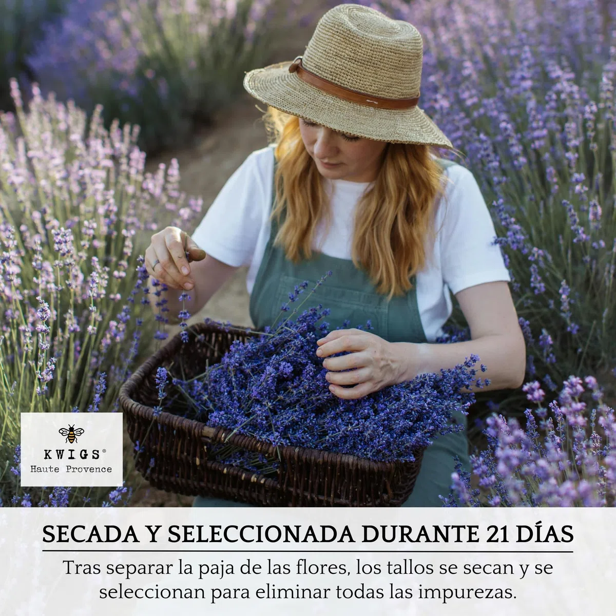 Bolsitas de Lavanda para Armarios - 12 Saquitos de Lavanda Seca Natural de Provenza sin OGM, en Yute Forrado y Rellenos a Mano - para Ropa, Cajones, Armarios - Flores de Provenza – Nueva Cosecha