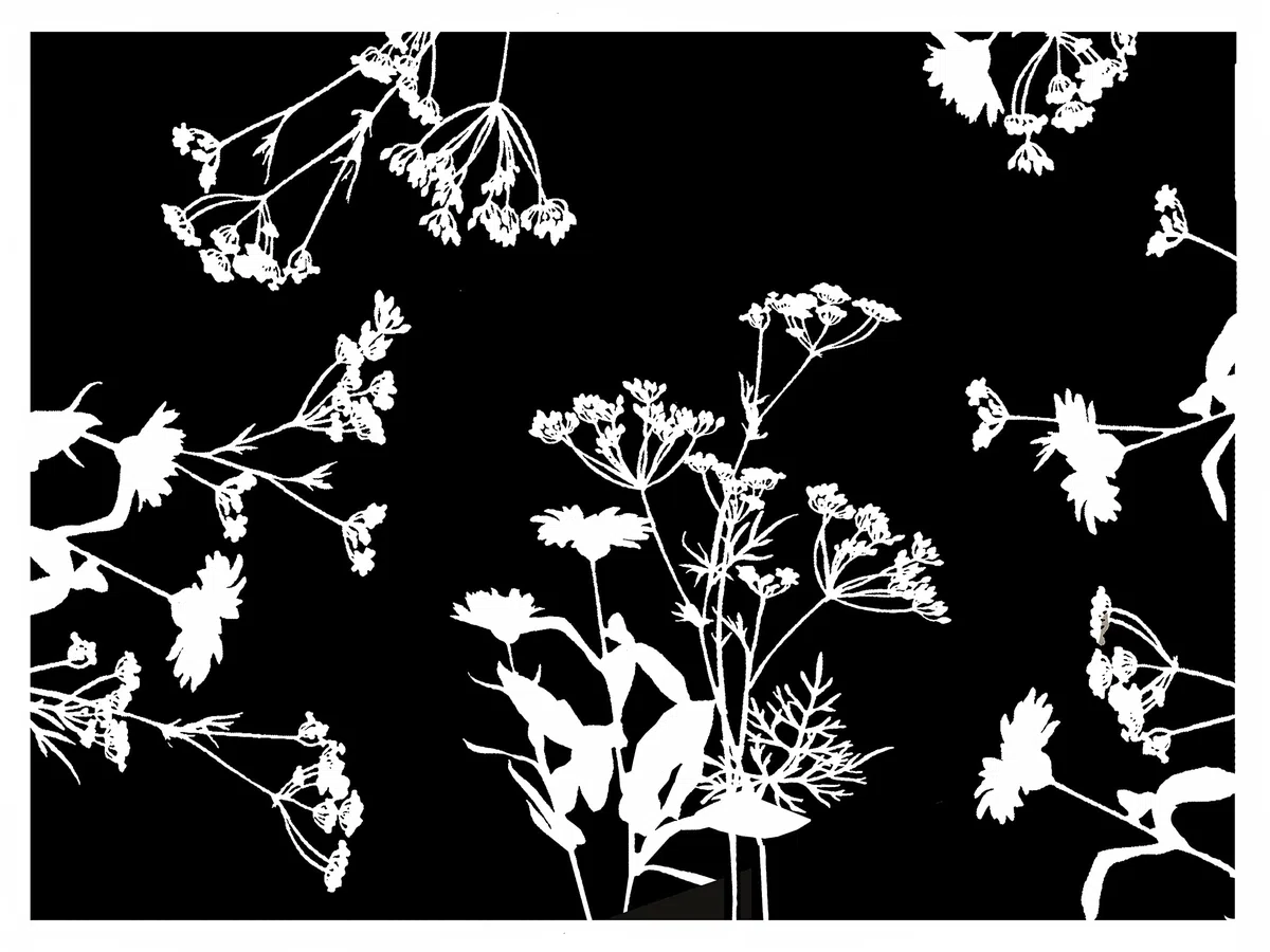 Cogir 314326I Pro Nappe - Manteles Individuales Desechables (500 Unidades, 30 x 40 cm, Acabado Satinado, Textura Satinada, diseño de jardín)