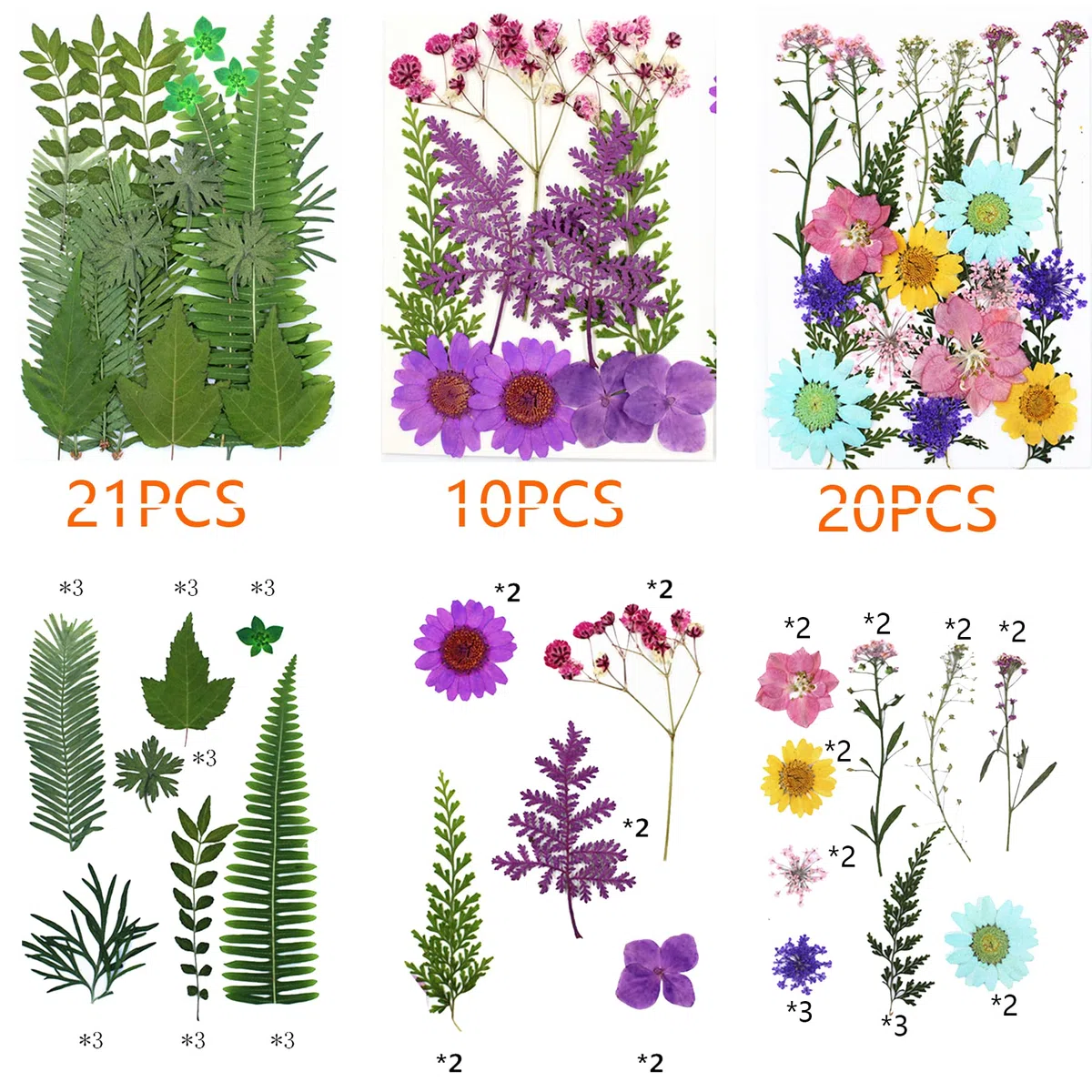 Cayway 173 Pz Naturales Flores Prensadas Secas, Hojas Prensadas Secas Naturales con Pinzas, Flores Secas Reales para Resina para Resina Scrapbooking, Joyería de Resina Epoxi