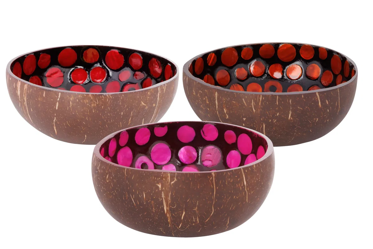 Noya Juego de 3 cuencos de coco de colores surtidos, D14 Cm
