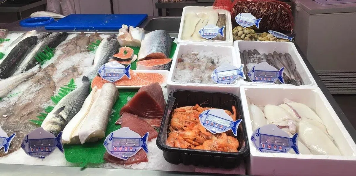 BALSAT Lechuga Pescaderia Artificial Homologada con Registro Sanitario. Decoracion pescaderias - Paquete de 12 ud.