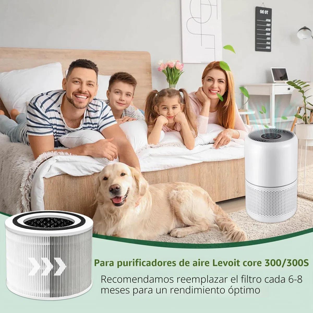 Core 300 Filtro de repuesto compatible con purificadores de aire LEVOIT Core 300/300S, filtro HEPA verdadero H13 y carbón activado, filtración 3 en 1 (paquete de 2)