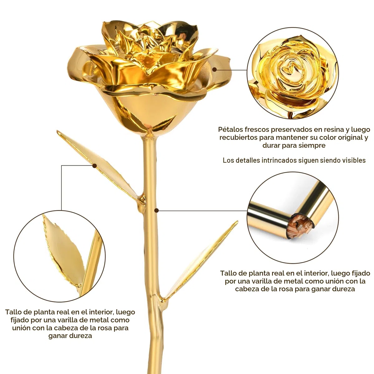 Ariceleo la úLtima Rosa Dorada de la Rosa Dorada Bautizada, Sumergirse en Rosas de 24K para Regalar Regalos RomáNticos de CumpleañOs a Las Mujeres Aniversario Día de San ValentíN Día de la Madre