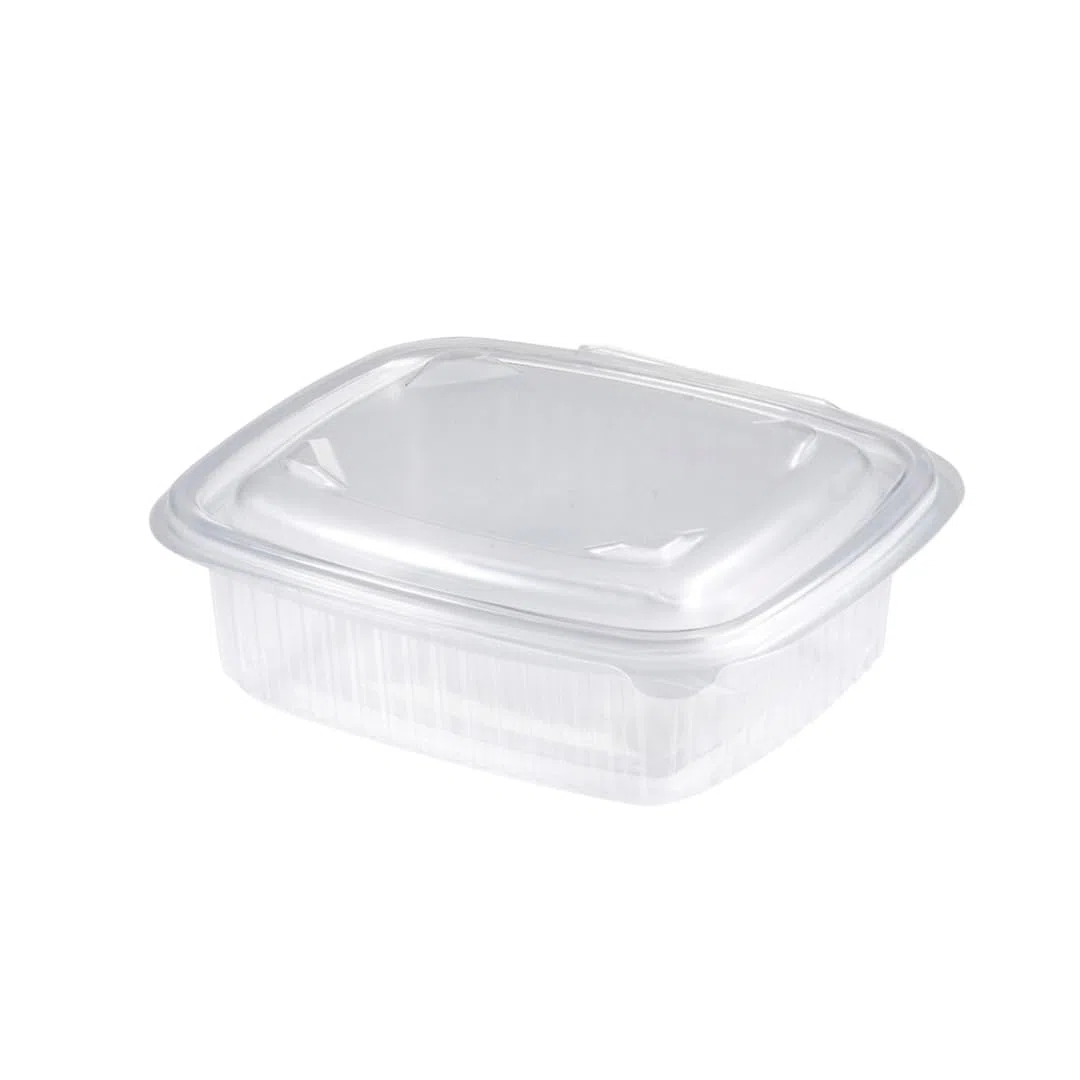 Envases para alimentos ecológicos de plástico reutilizable apto para el microondas y congelador con tapas de bisagra, Ideal para transportar comida, 250 ml, 600 uds