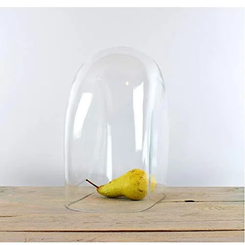 EMH - Campana de cristal ovalado (30 cm)