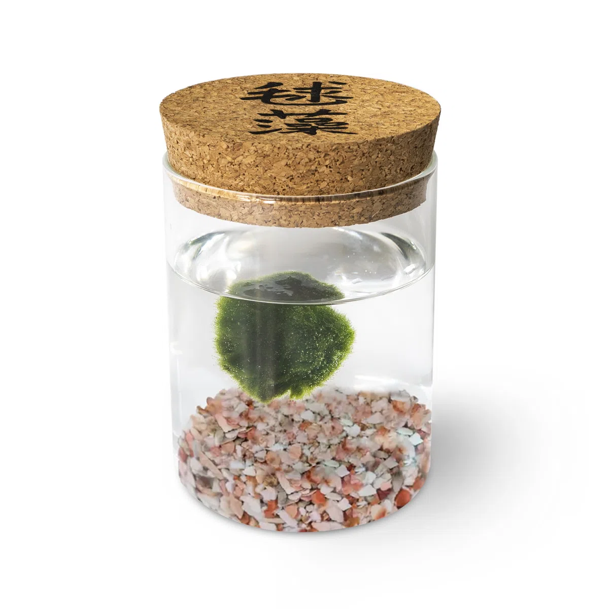 La felicidad está en las pequeñas cosas. Marimo original individual en jarrón de cristal con tapón de corcho y ideograma, de fabricación artesanal, fondo rosa natural, fabricado en Italia