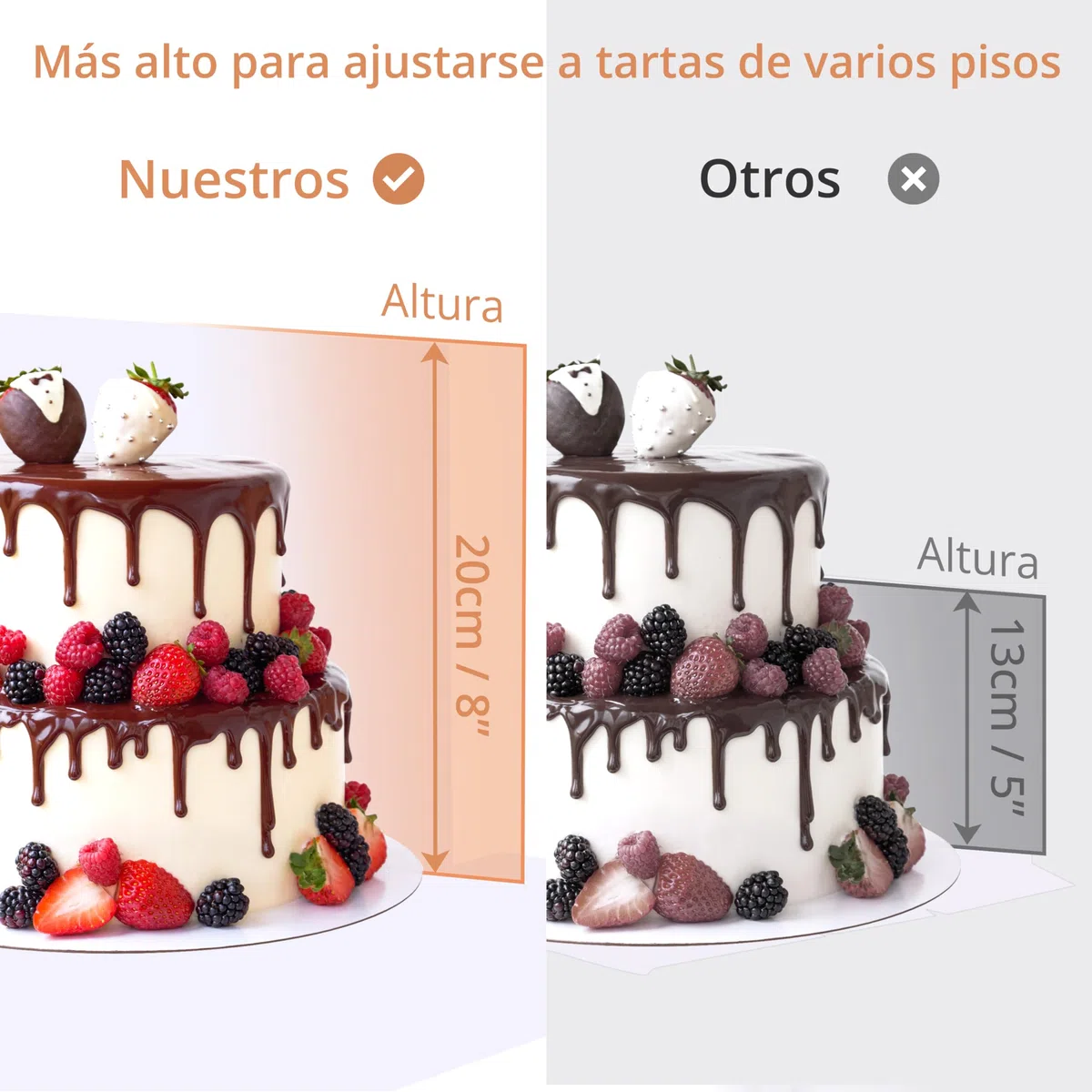 Winter Shore Cajas para Tartas con Bandeja (Pack de 10) - Caja Cartón Desechable Blanca con Ventana para Repostería - Cartón de 350 G/M² - Bandeja de 25,3 cm, Caja de 25,4 x 25,4 x 20,3 cm
