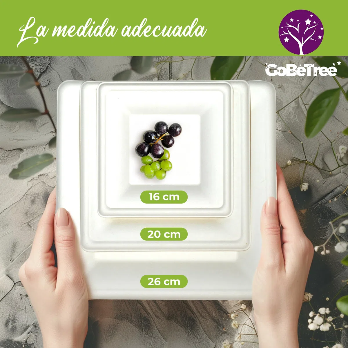 GoBeTree 100 platos de caña de azúcar cuadrados de 20 cm blancos. Platos desechables extrafuertes, Para camping, picnic, fiestas, barbacoas, cumpleaños.